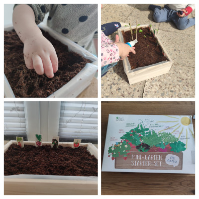 Mini-Garten